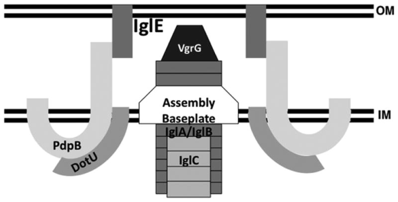 Fig. 7