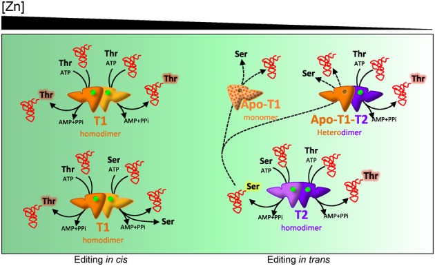 Figure 6.