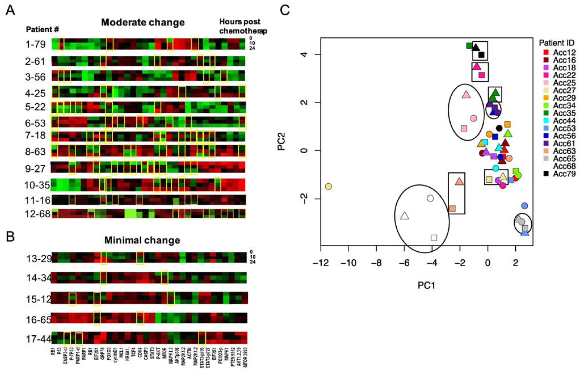 Figure 10: