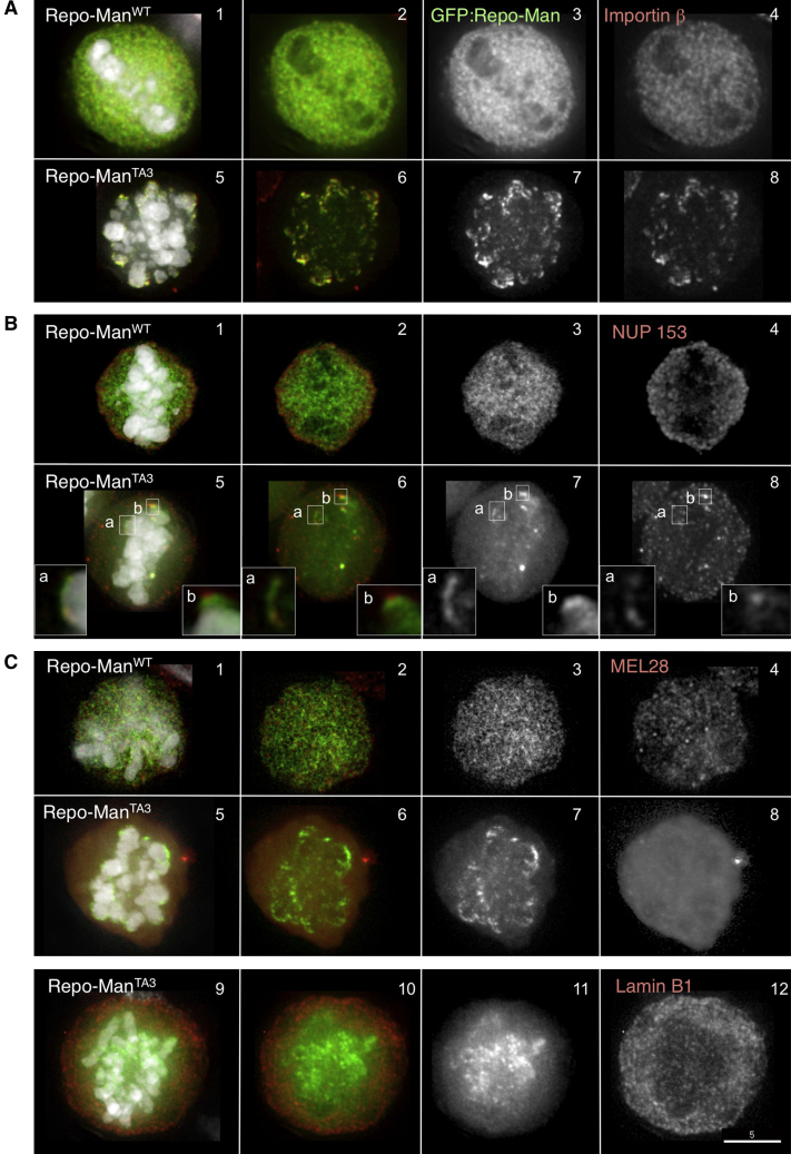 Figure 4