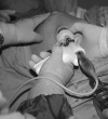 <b>FIG. 1.</b>