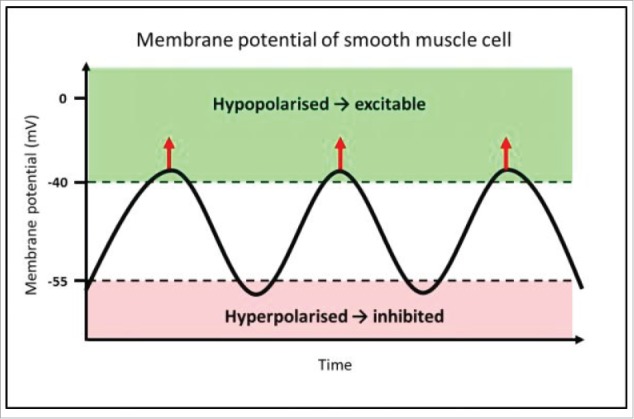 FIGURE 1.