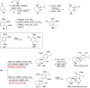 Scheme 12