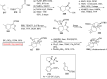 Scheme 26