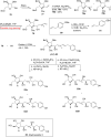 Scheme 10