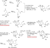 Scheme 13