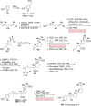 Scheme 21