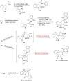 Scheme 2