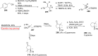 Scheme 24