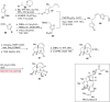 Scheme 11