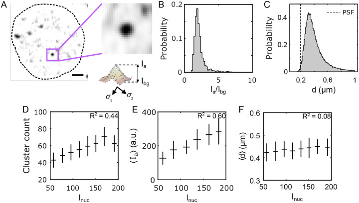 FIG. 2.