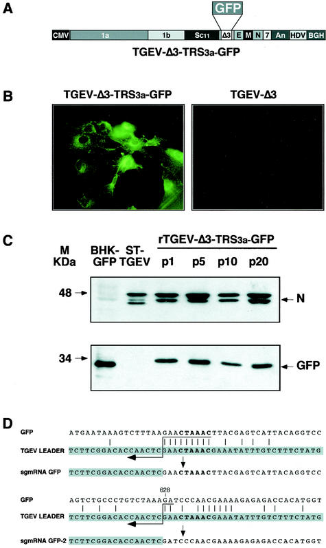 FIG. 2.