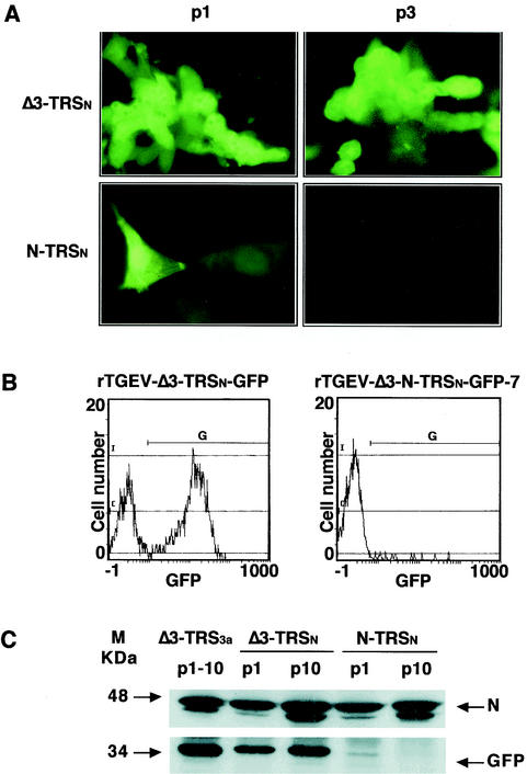 FIG. 7.