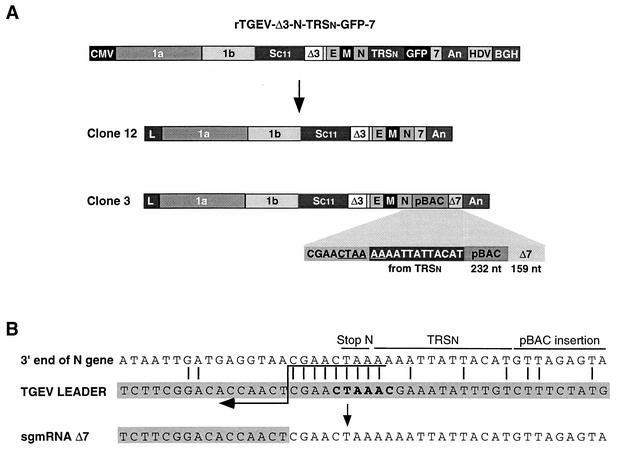 FIG. 8.