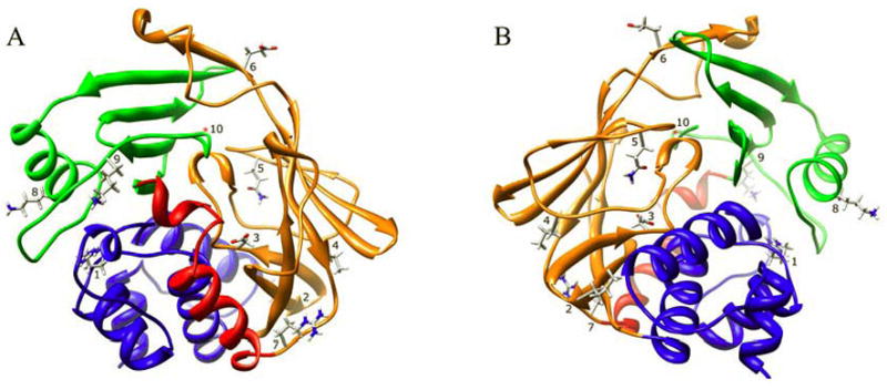 Fig. 8