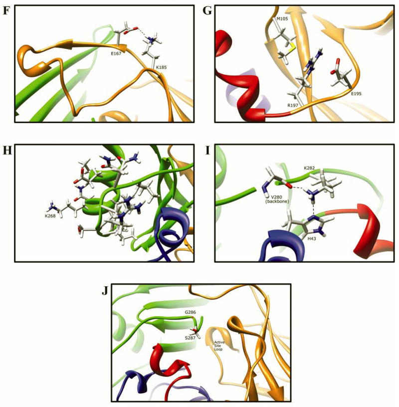 Fig. 9