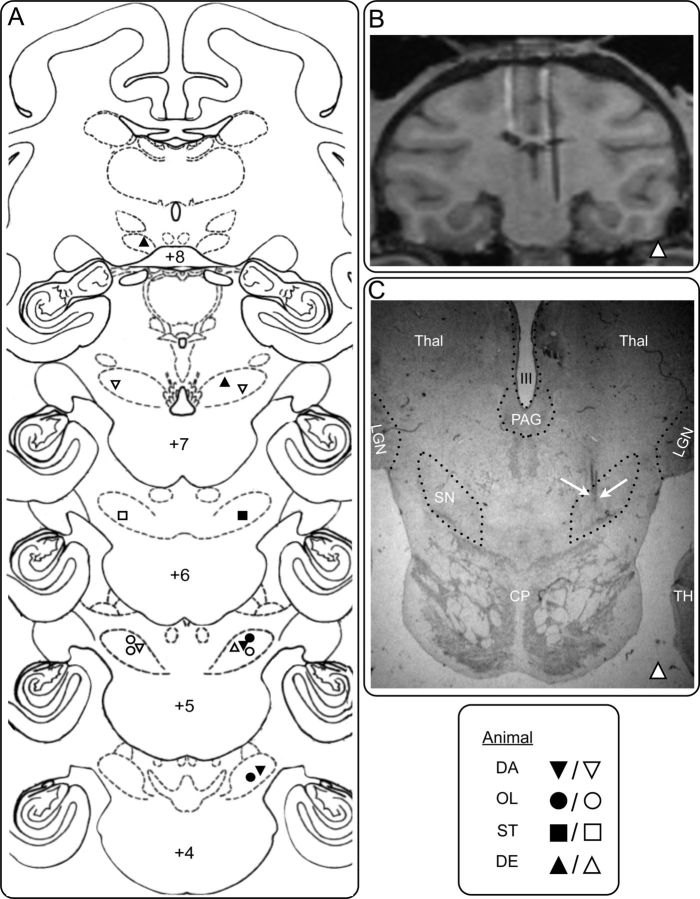 Figure 2.