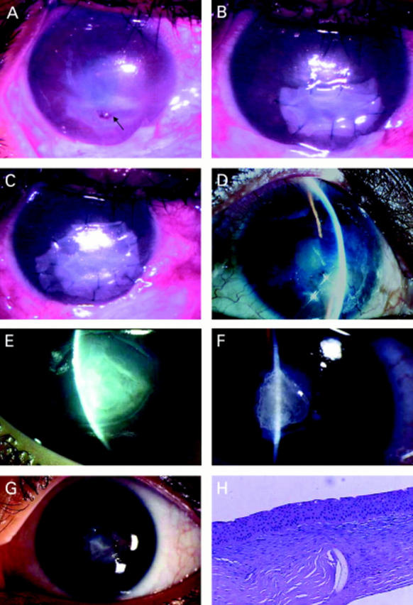 Figure 3  