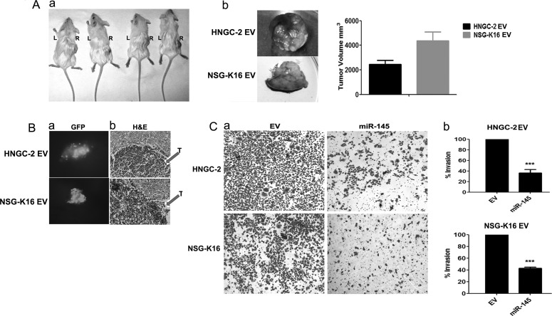 Fig. 4.