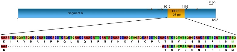 Figure 8