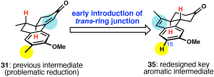 Scheme 6.