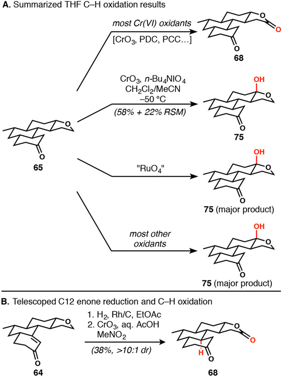 Scheme 12.