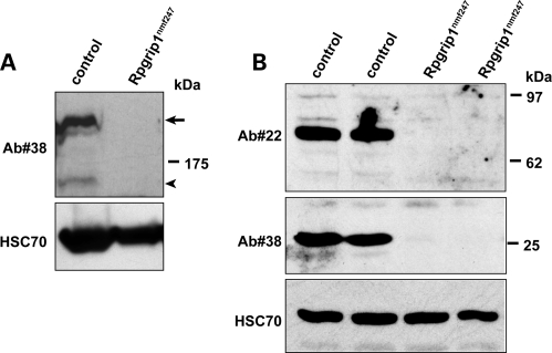 Figure 4.