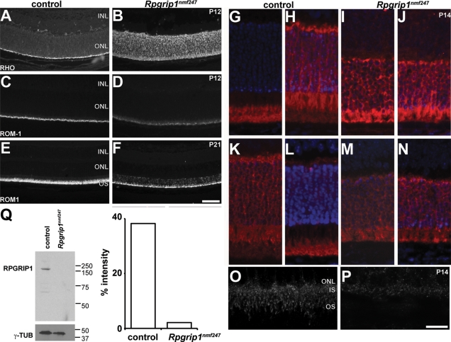 Figure 3.