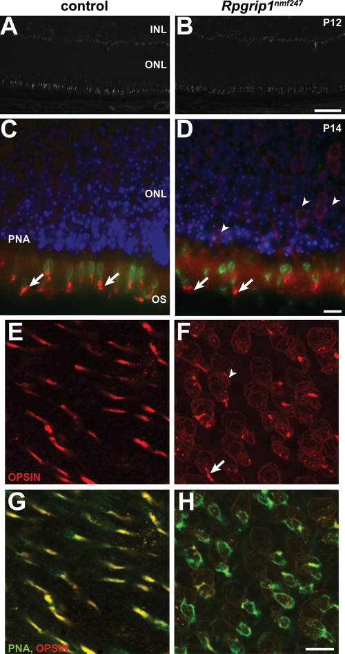 Figure 6.