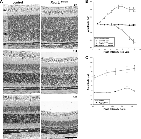 Figure 2.