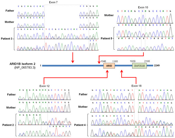 Figure 4