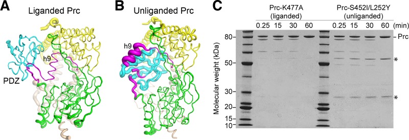 FIG 4