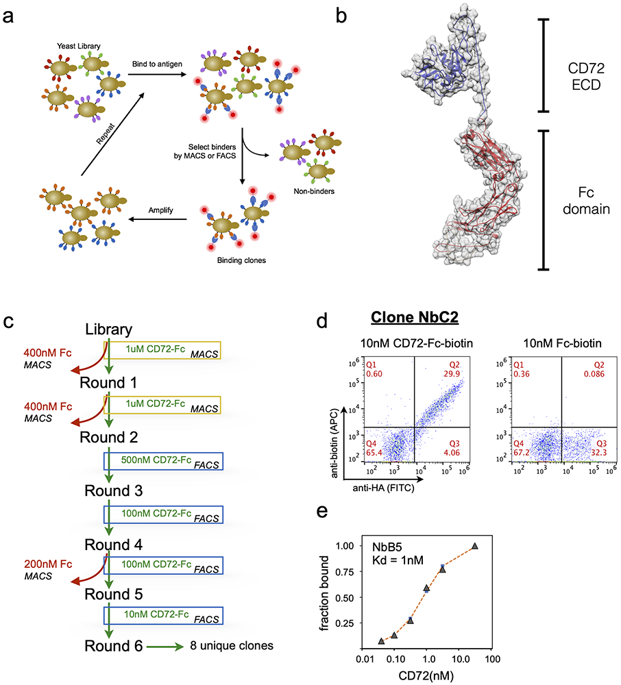 Figure 4: