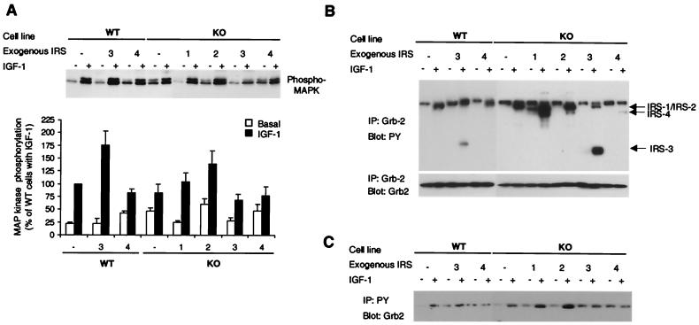 FIG. 8