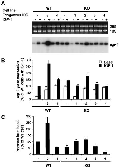 FIG. 9