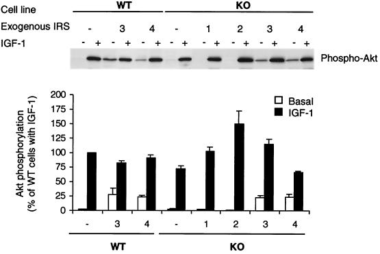 FIG. 7