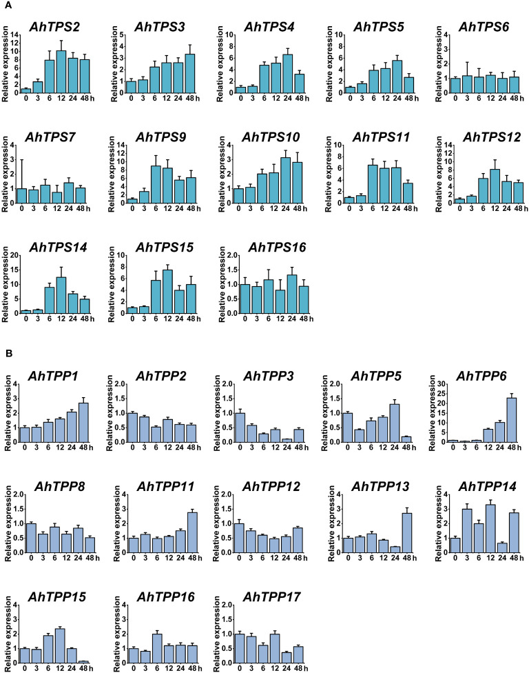 Figure 7