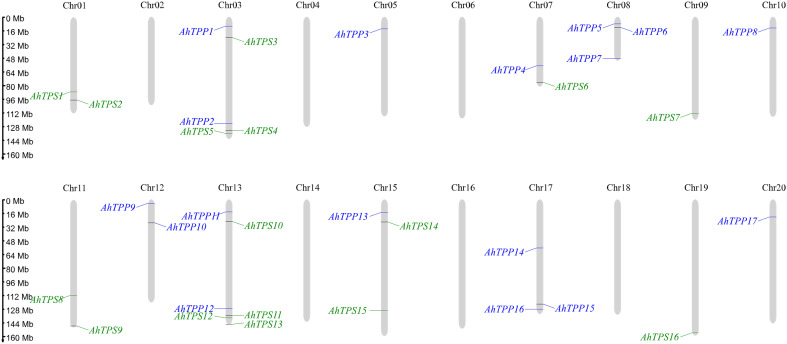 Figure 2