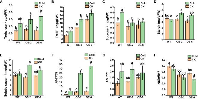 Figure 10