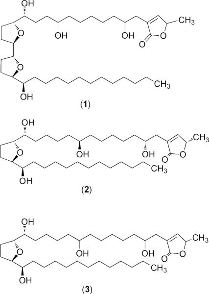 graphic file with name nihms-200348-f0001.jpg