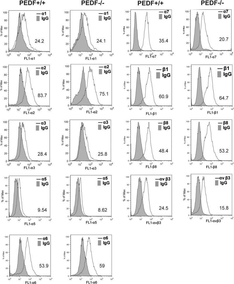 Fig. 8.