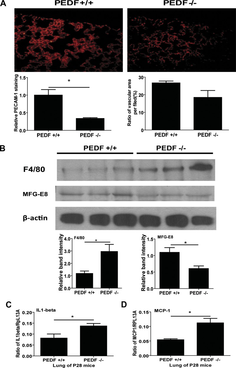 Fig. 13.