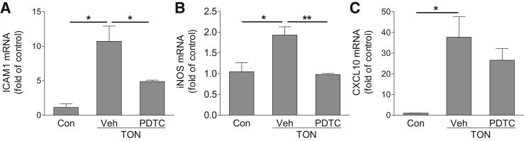 Figure 6