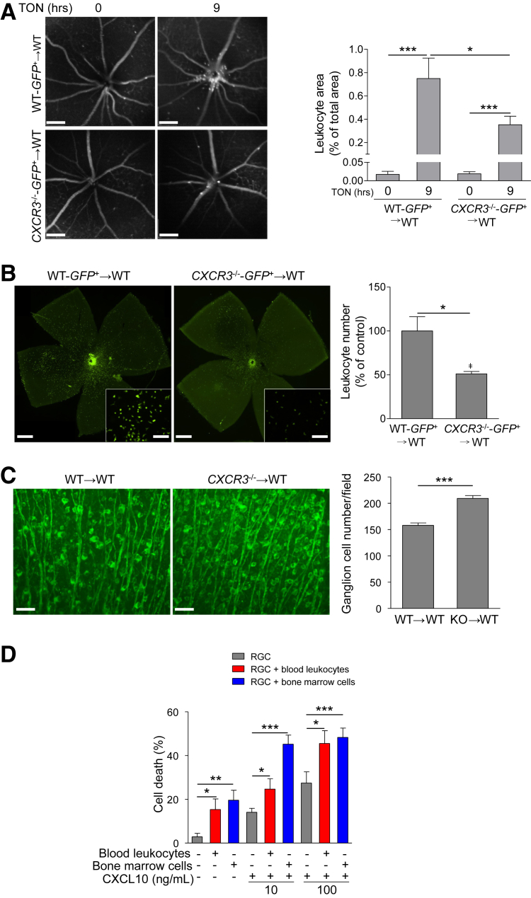 Figure 4