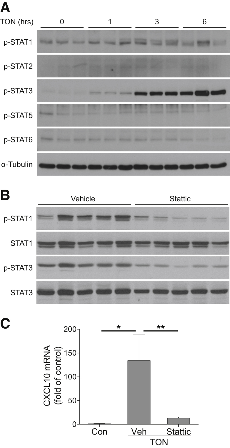 Figure 7