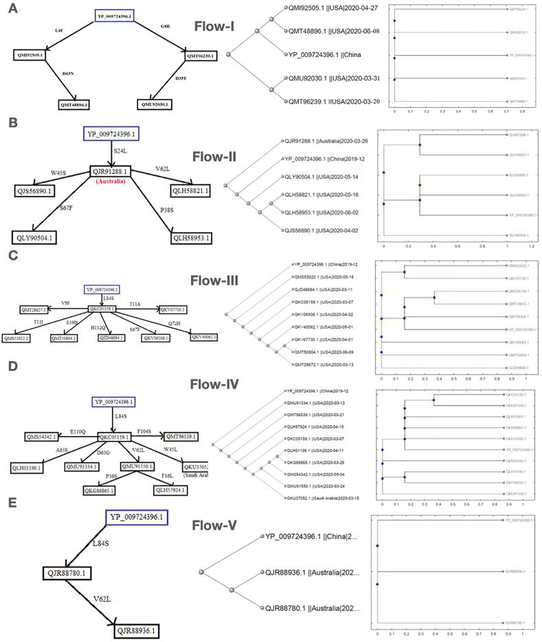 Fig. 7