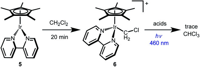 Scheme 5