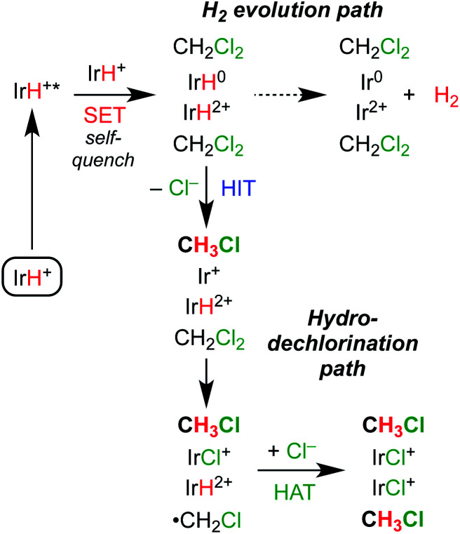 Scheme 7