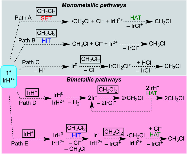 Scheme 4