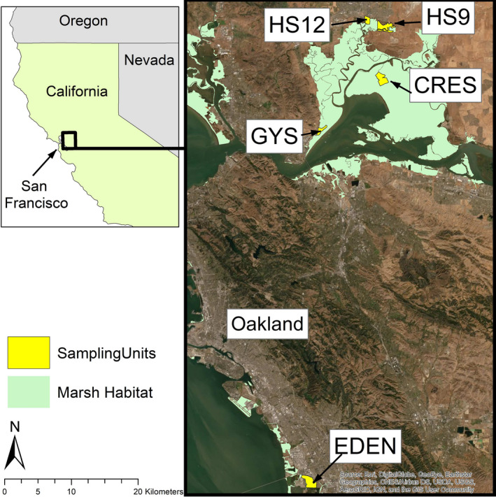 FIGURE 2